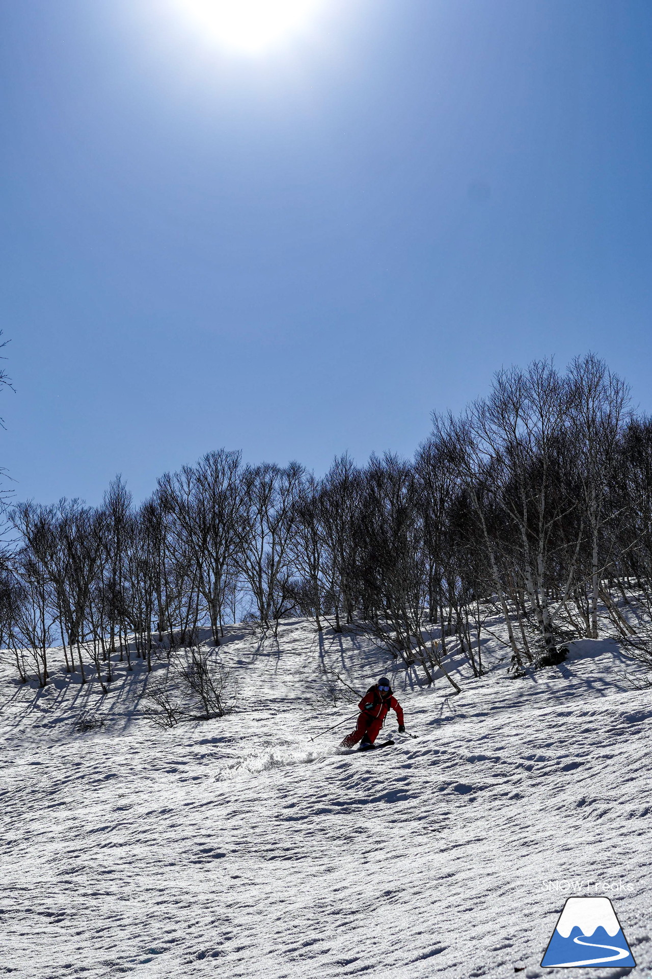 ニセコグラン・ヒラフ DYNASTAR SKI TEST RIDE DAYS Photo Session!!最高の天気に恵まれたニセコに、最高の仲間たちが集まりました☆